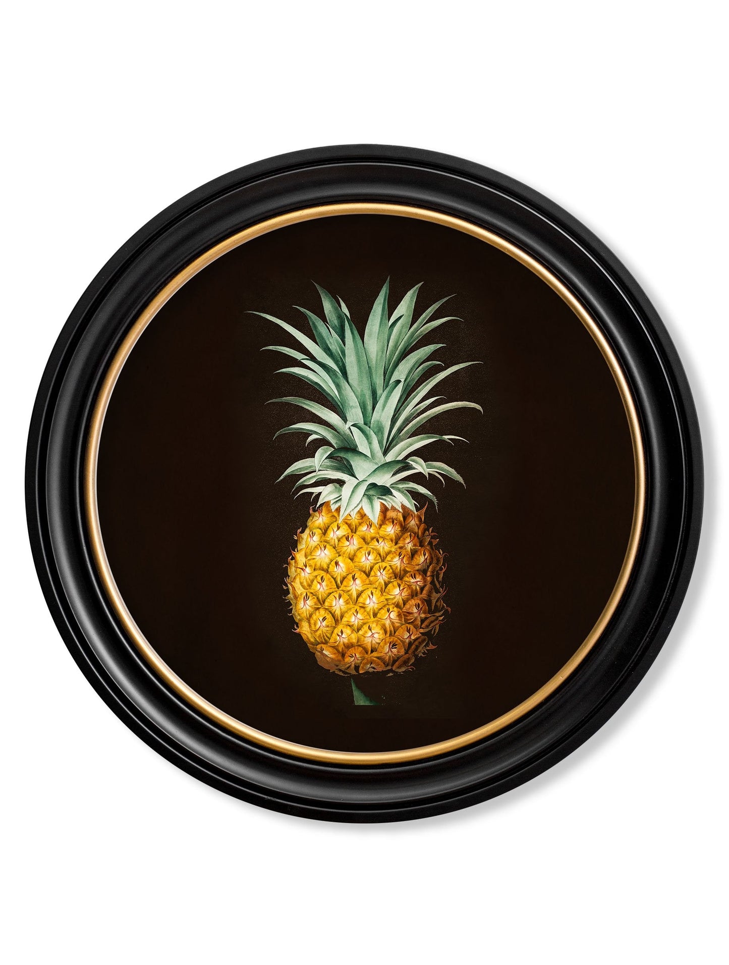 c.1812 Pineapple Study (Black) - Round Frame in size 44 x 44 cm - glass-fronted framed wall art print with solid wood frame, perfect for luxury home decor