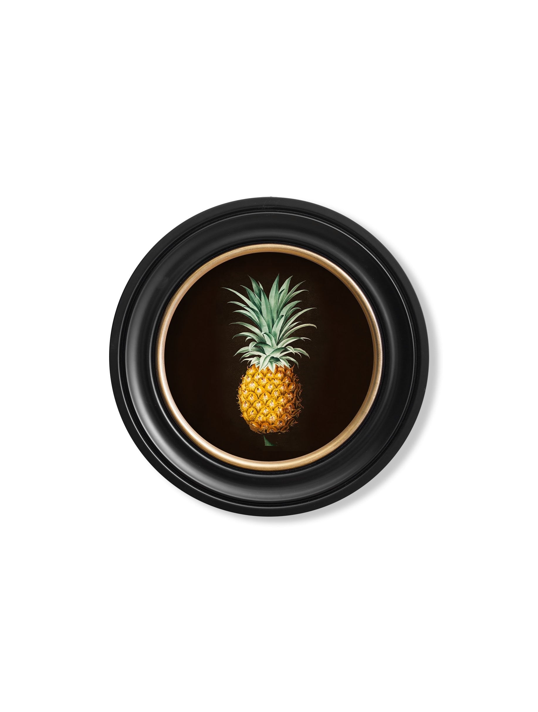 c 1812 pineapple study round frame in size 96 x 96cm - glass-fronted framed wall art print with solid wood frame, designed for high-end interior design