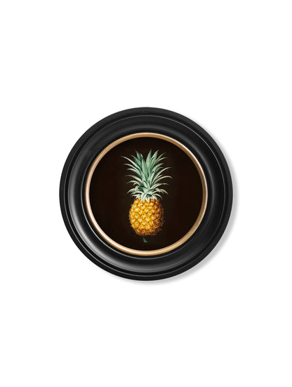 c 1812 pineapple study round frame in size 96 x 96cm - glass-fronted framed wall art print with solid wood frame, designed for high-end interior design