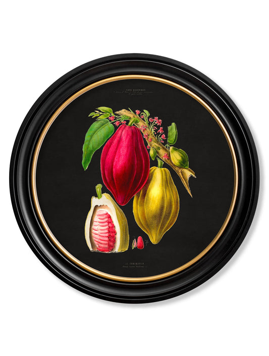 c.1843 Chocolate Plant - Round Frame - Black in size 44 x 44cm - glass-fronted framed wall art print with solid wood frame, ideal for contemporary home styling