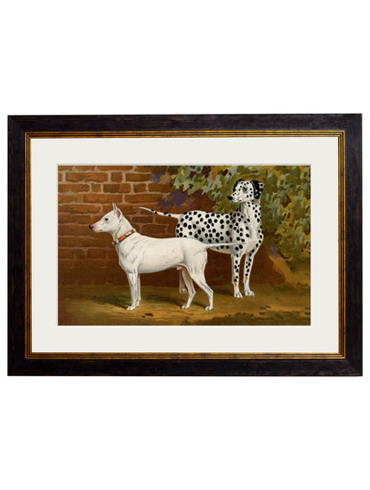 c 1881 dogs in size 38 x 50cm - glass-fronted framed wall art print with solid wood frame, designed for high-end interior design