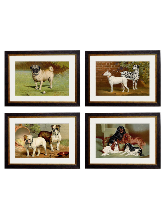 c.1881 Dogs in size 38 x 50cm - glass-fronted framed wall art print with solid wood frame, perfect for luxury home decor