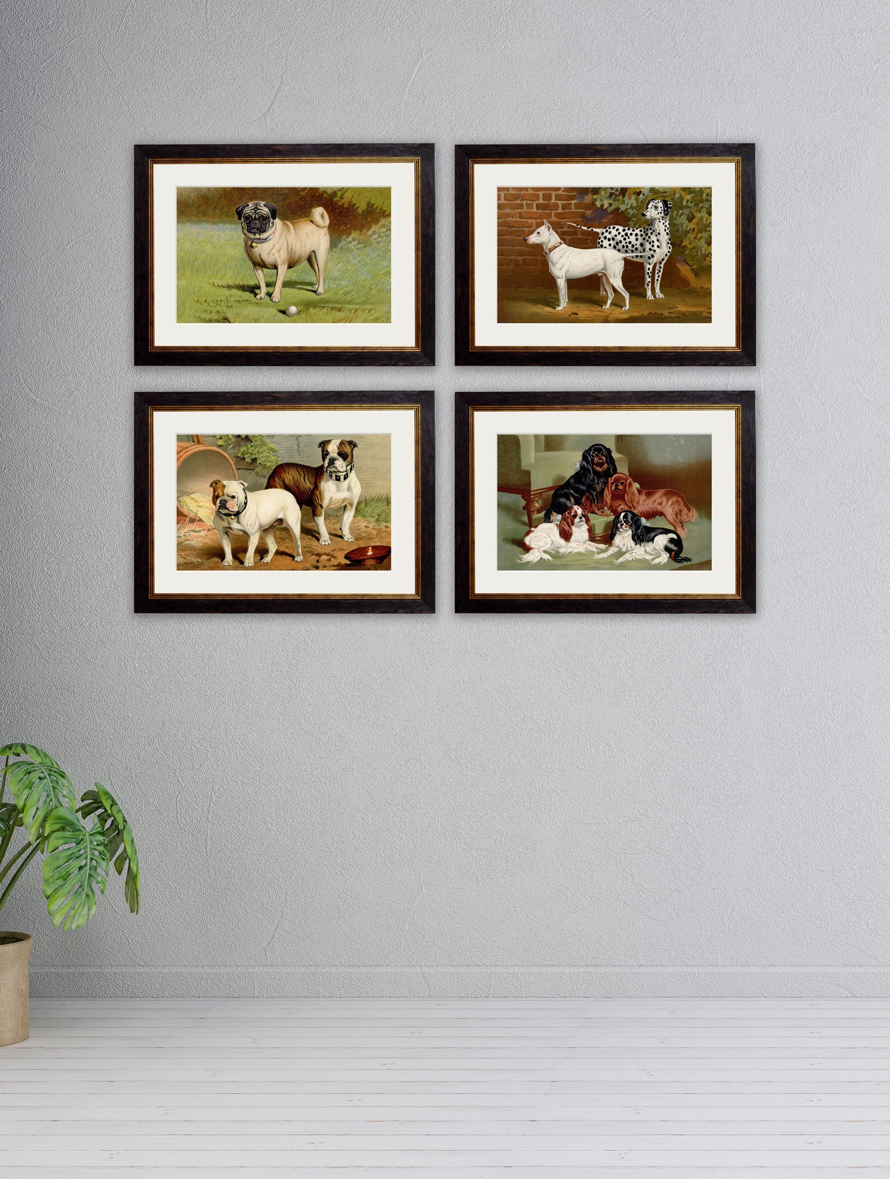 c 1881 dogs in size 38 x 50cm - glass-fronted framed wall art print with solid wood frame, a beautiful addition to stylish homes