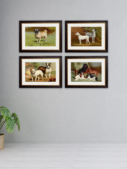 c 1881 dogs in size 38 x 50cm - glass-fronted framed wall art print with solid wood frame, a beautiful addition to stylish homes