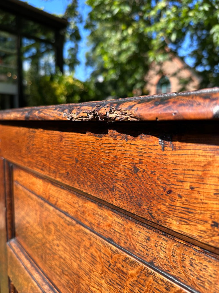 Early 19th Century Antique Tall Oak Mule Chest, Blanket Chest With Candle BoxThe Furniture Recycling Shop