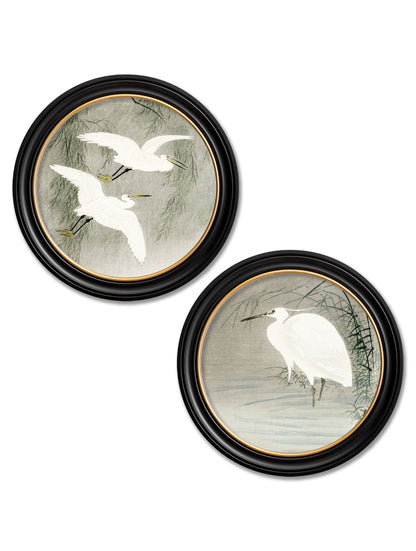 c.1910 Little Egrets - Ohara Koson in Round Frames in size 44 x 44cm - glass-fronted framed wall art print with solid wood frame, luxury wall art for sophisticated spaces