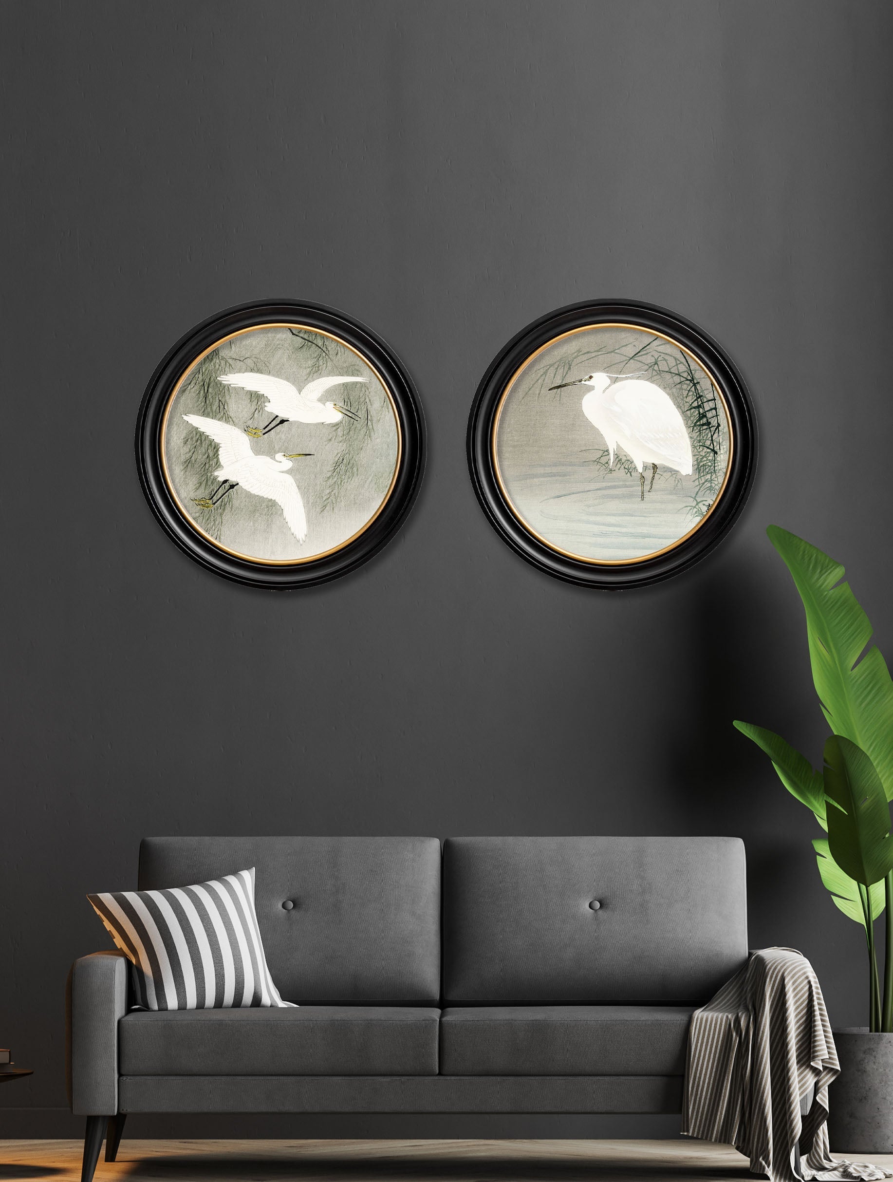 c 1910 little egrets ohara koson in round frames in size 44 x 44cm - glass-fronted framed wall art print with solid wood frame, ideal for modern interiors