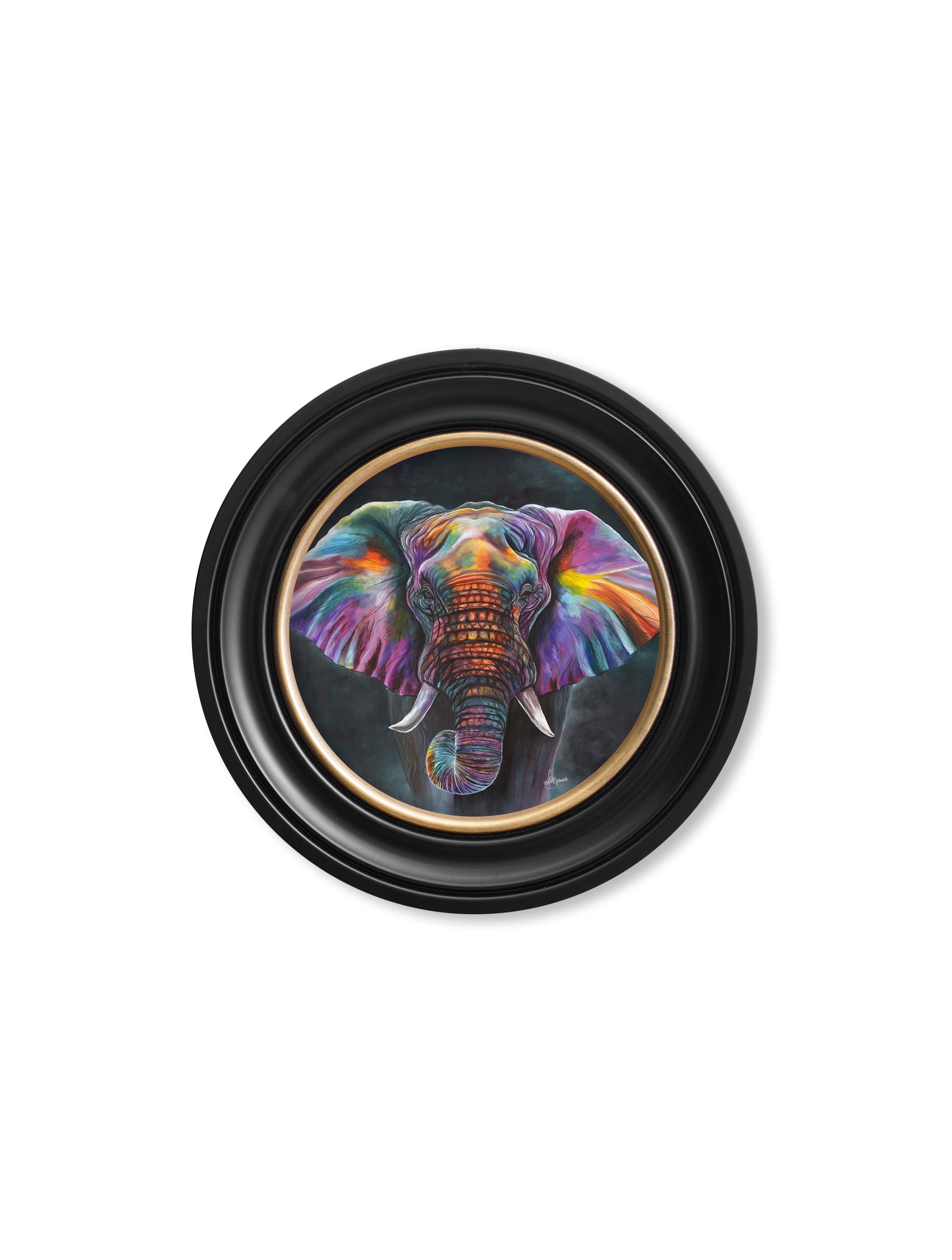 elephant print wisdom by amy ansell oxford round frame - premium glass-fronted framed art print with solid wood frame, ideal for modern interiors