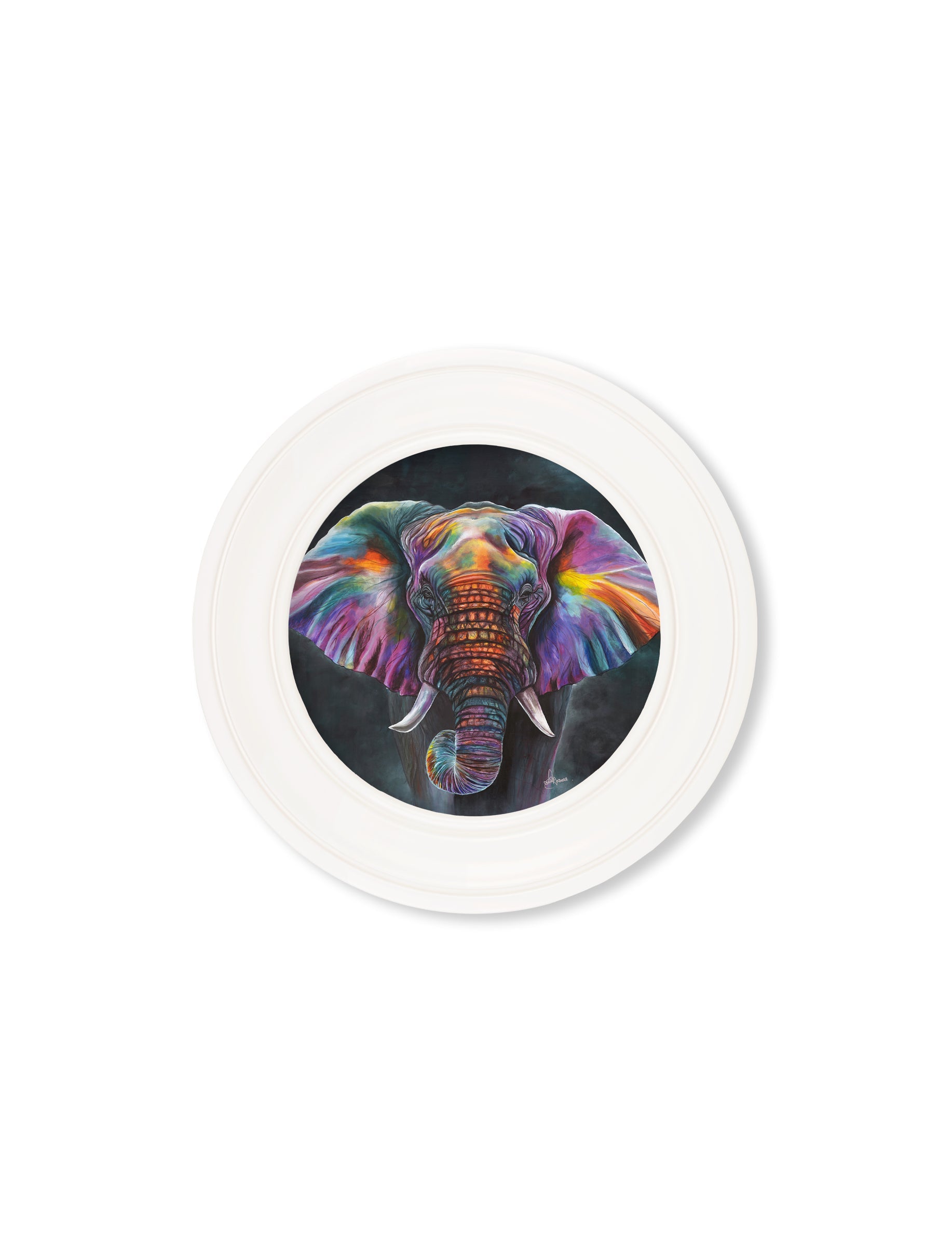 elephant print wisdom by amy ansell strong white round frame - premium glass-fronted framed art print with solid wood frame, luxury wall art for sophisticated spaces