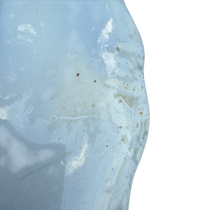 Full oblique view of Staffordshire Warwick platter laid on a light wood surface