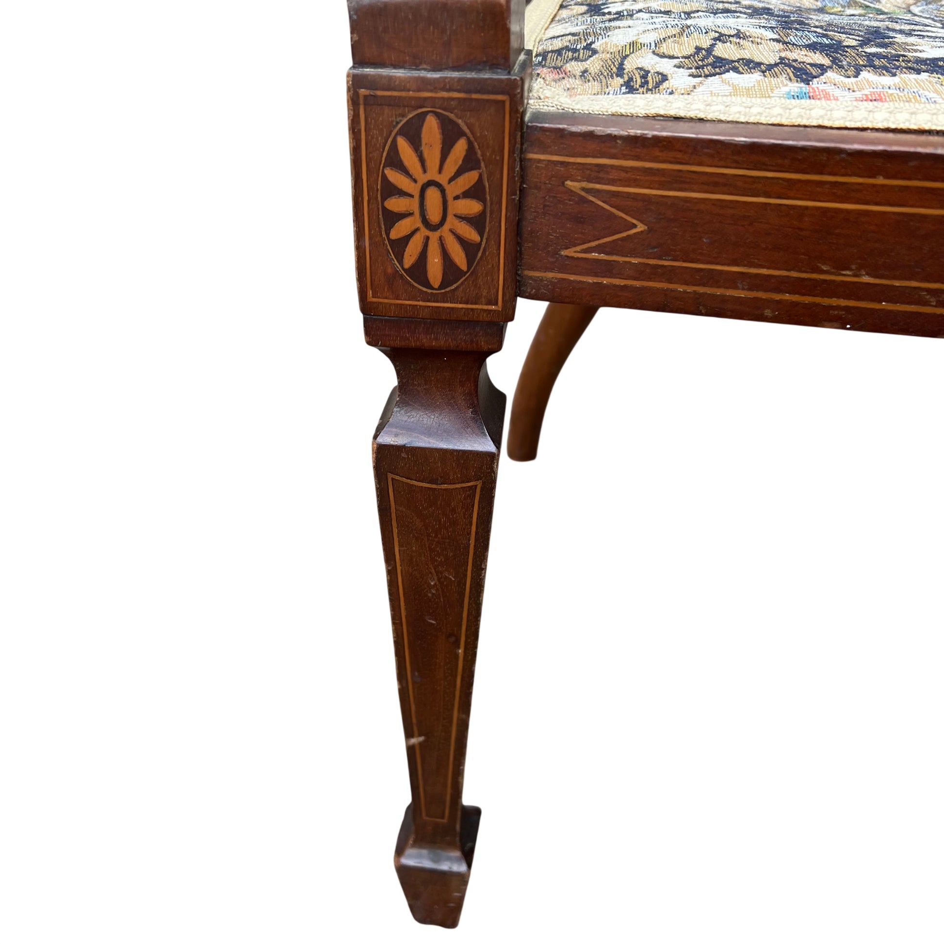 Side view of Edwardian mahogany tub chair showing shaped leg