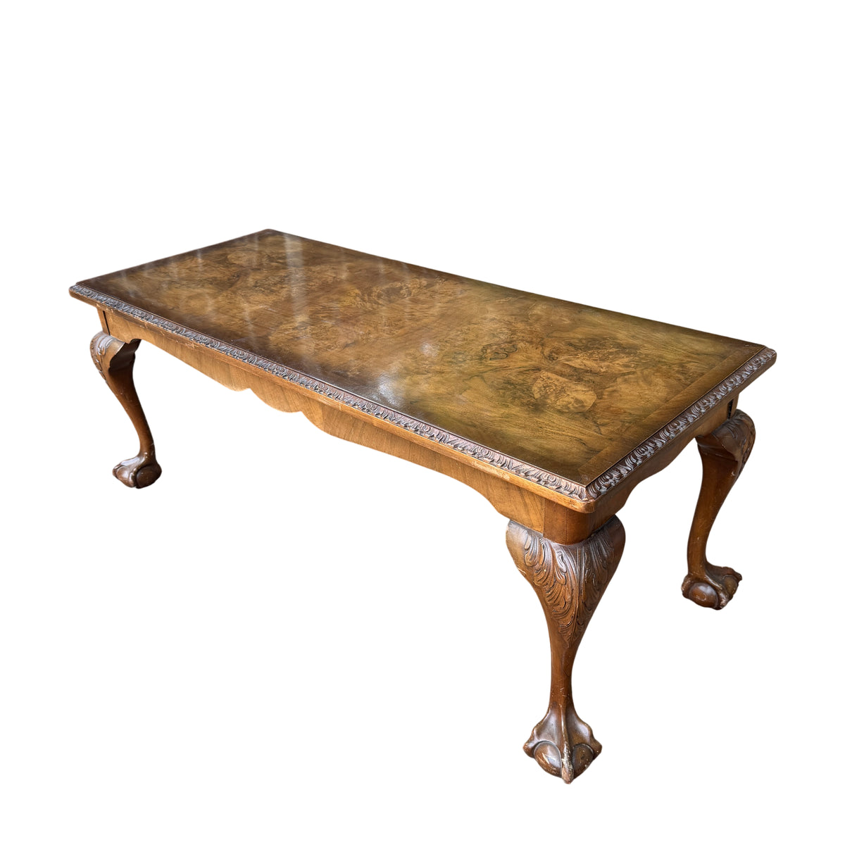 Vintage burr walnut coffee table with carved ball and claw feet and burr veneer top