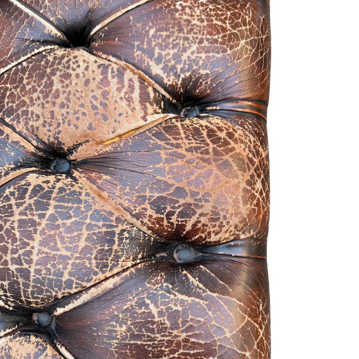 Full-width view of distressed brown leather Chesterfield sofa outdoors