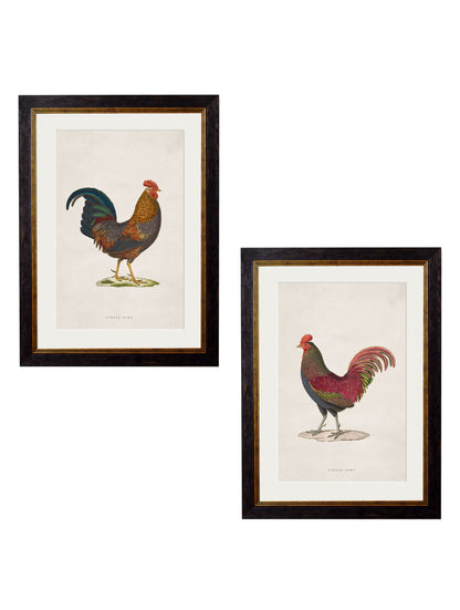 c.1838 Junglefowl in size 38 x 50cm - glass-fronted framed wall art print with solid wood frame, adds elegance to your decor