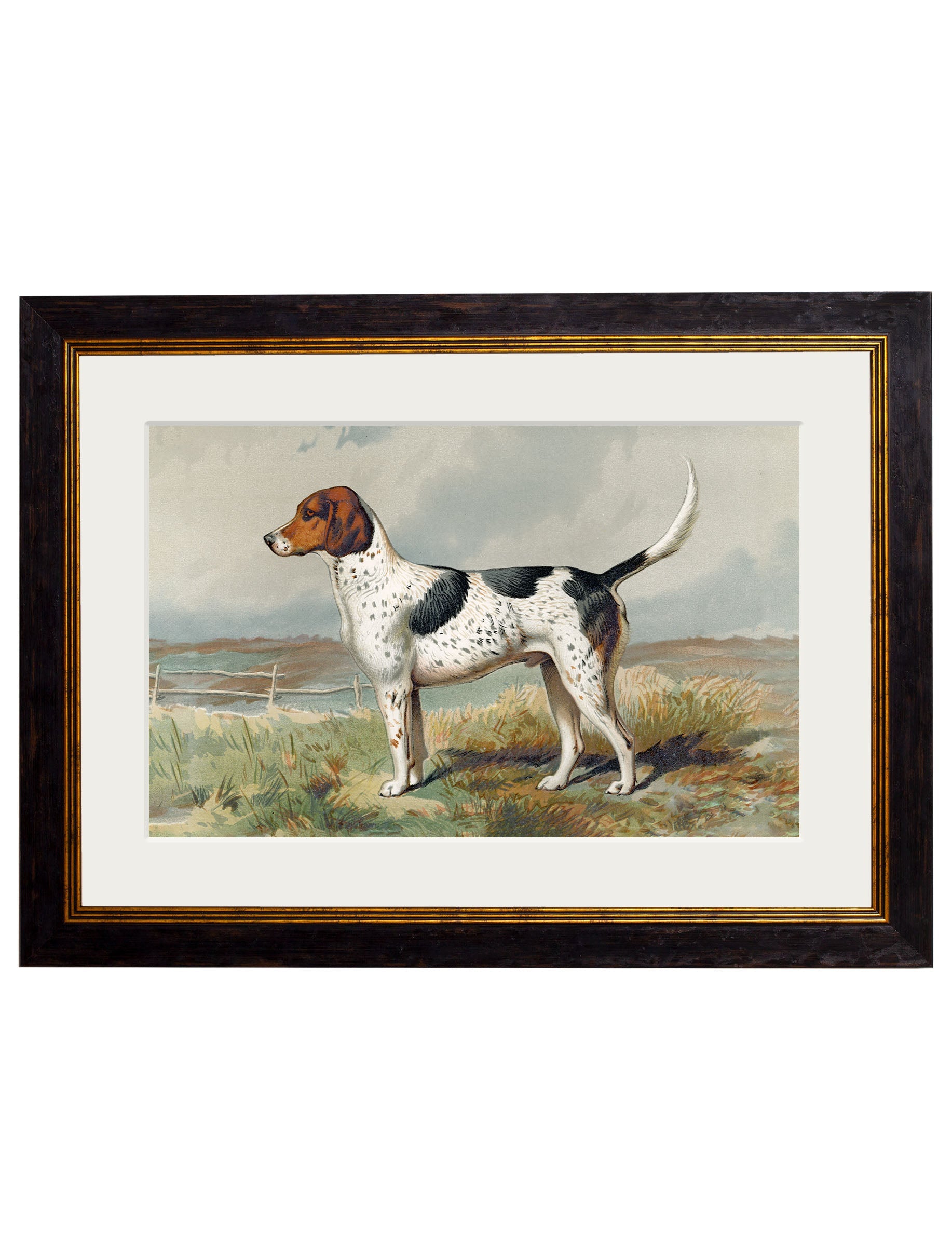 c 1881 gun dogs in size 38 x 50cm - glass-fronted framed wall art print with solid wood frame, ideal for modern interiors