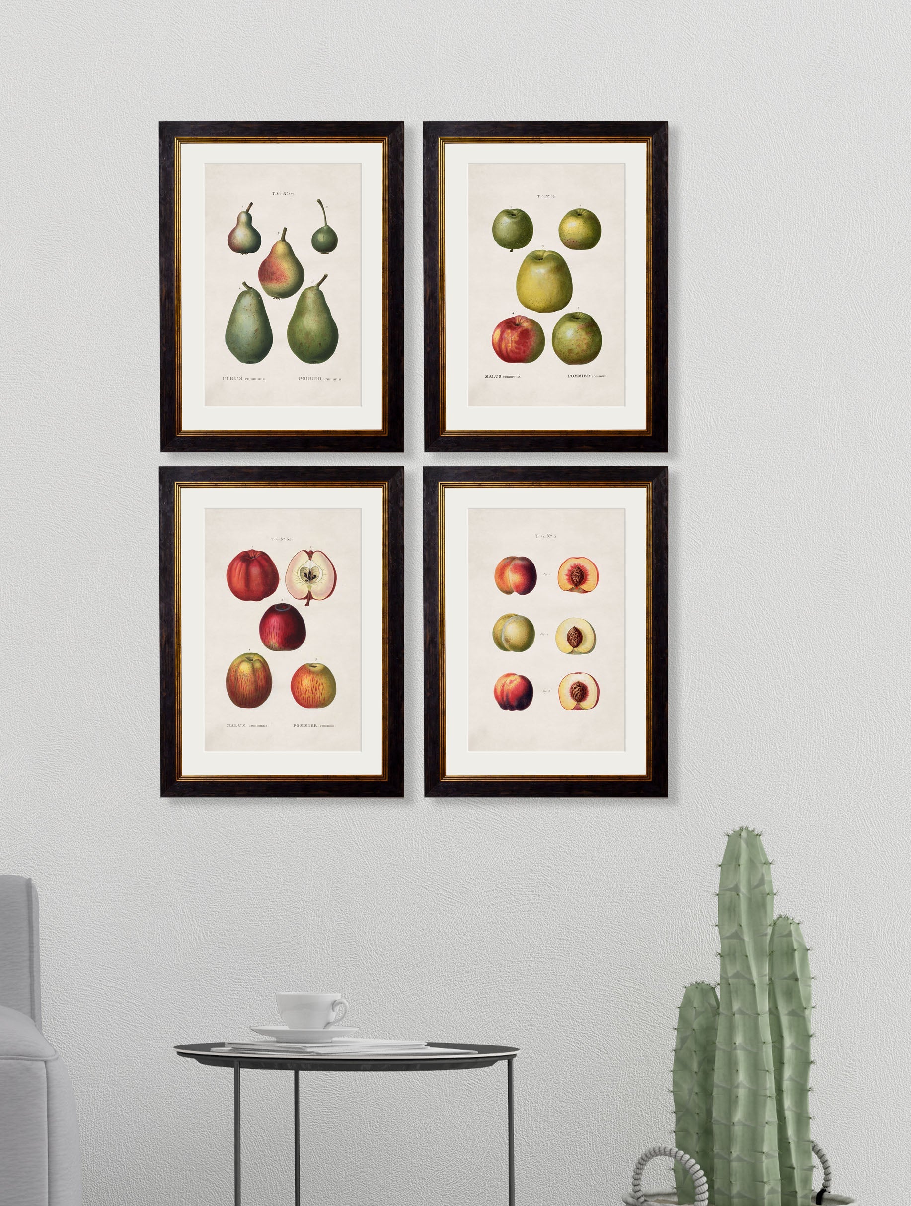 c 1819 european pears no 2 in size 38 x 50cm - glass-fronted framed wall art print with solid wood frame, ideal for contemporary home styling