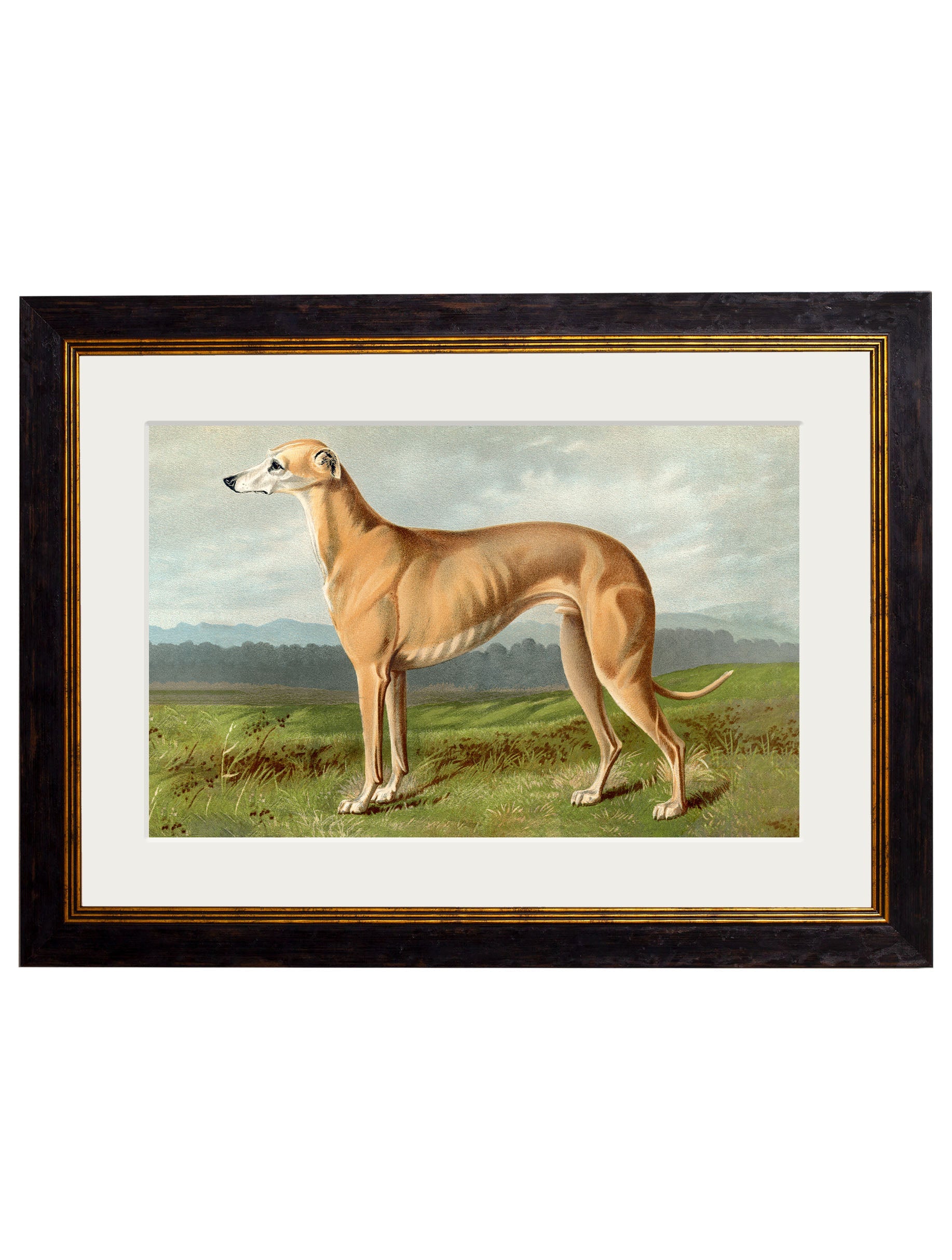 c 1881 working dogs in size 50 x 70cm - glass-fronted framed wall art print with solid wood frame, a beautiful addition to stylish homes