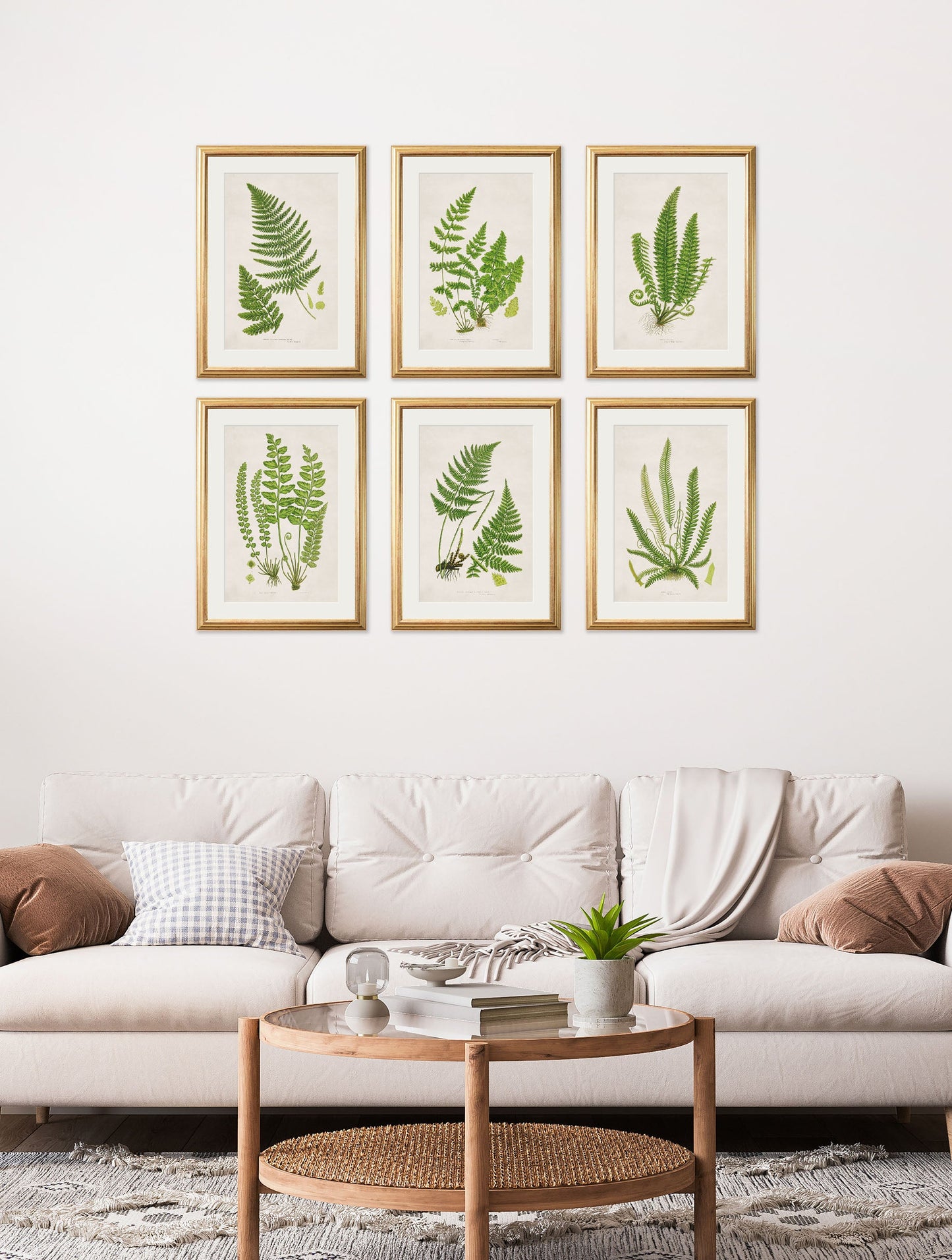 collection of 6 ferns in size 38 x 50cm - glass-fronted framed wall art print with solid wood frame, ideal for contemporary home styling