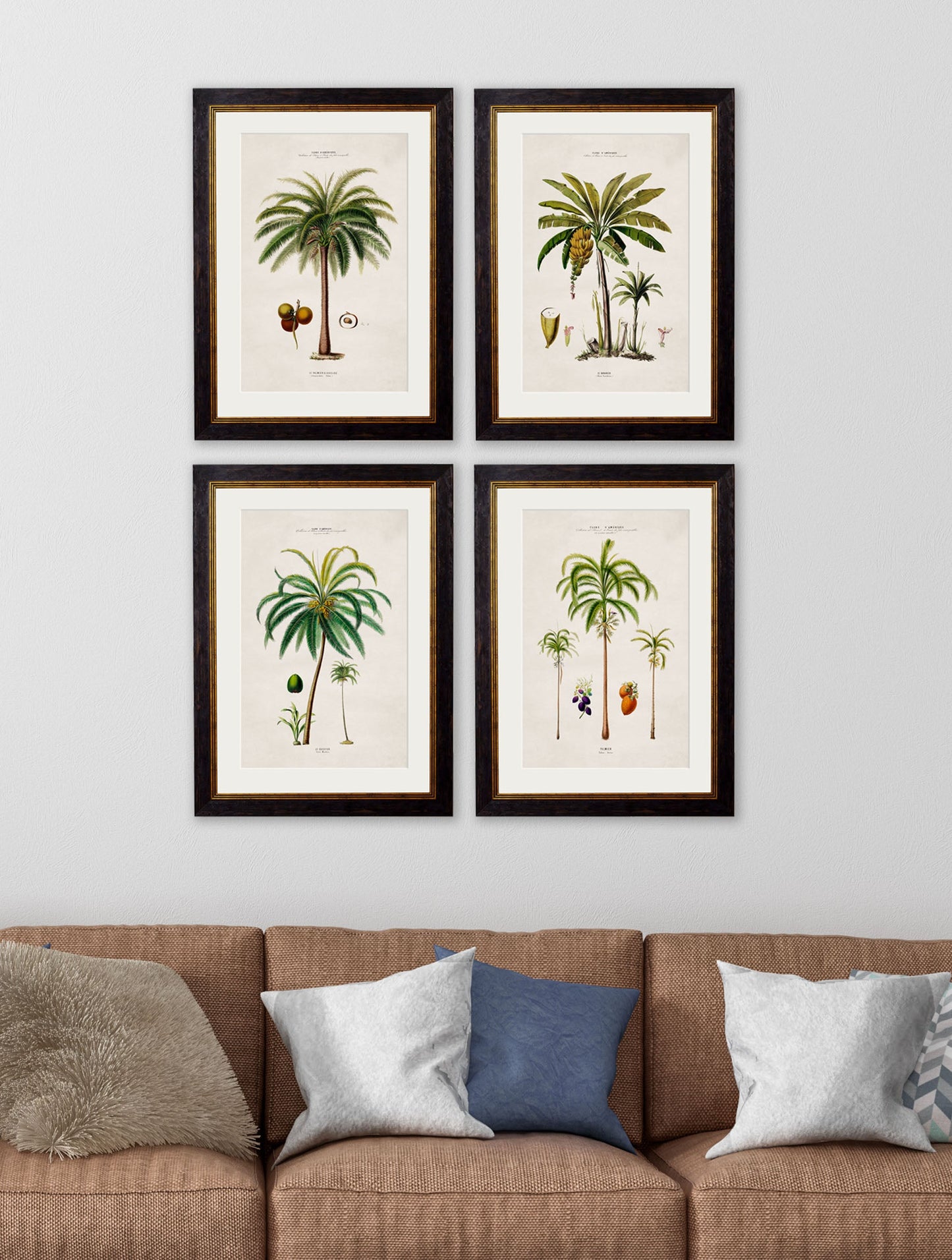 c 1843 macaw palm framed print in size 38 x 50cm - glass-fronted framed wall art print with solid wood frame, ideal for contemporary home styling