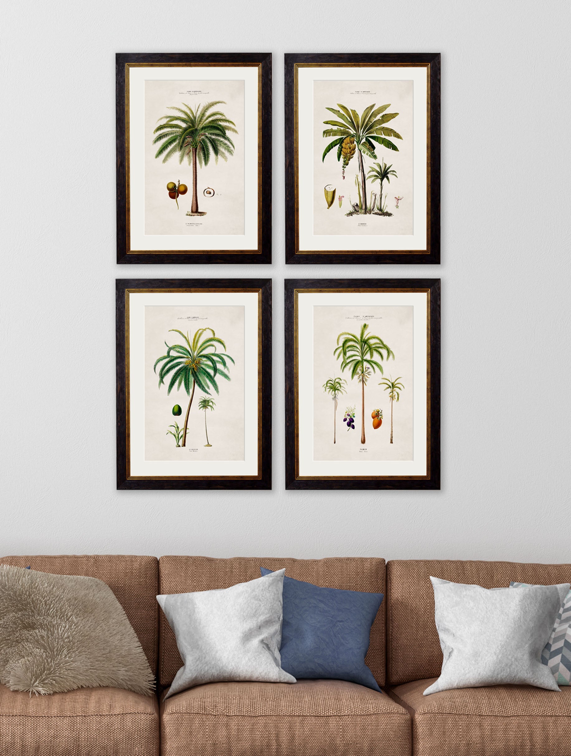 c 1843 macaw palm framed print in size 38 x 50cm - glass-fronted framed wall art print with solid wood frame, ideal for contemporary home styling