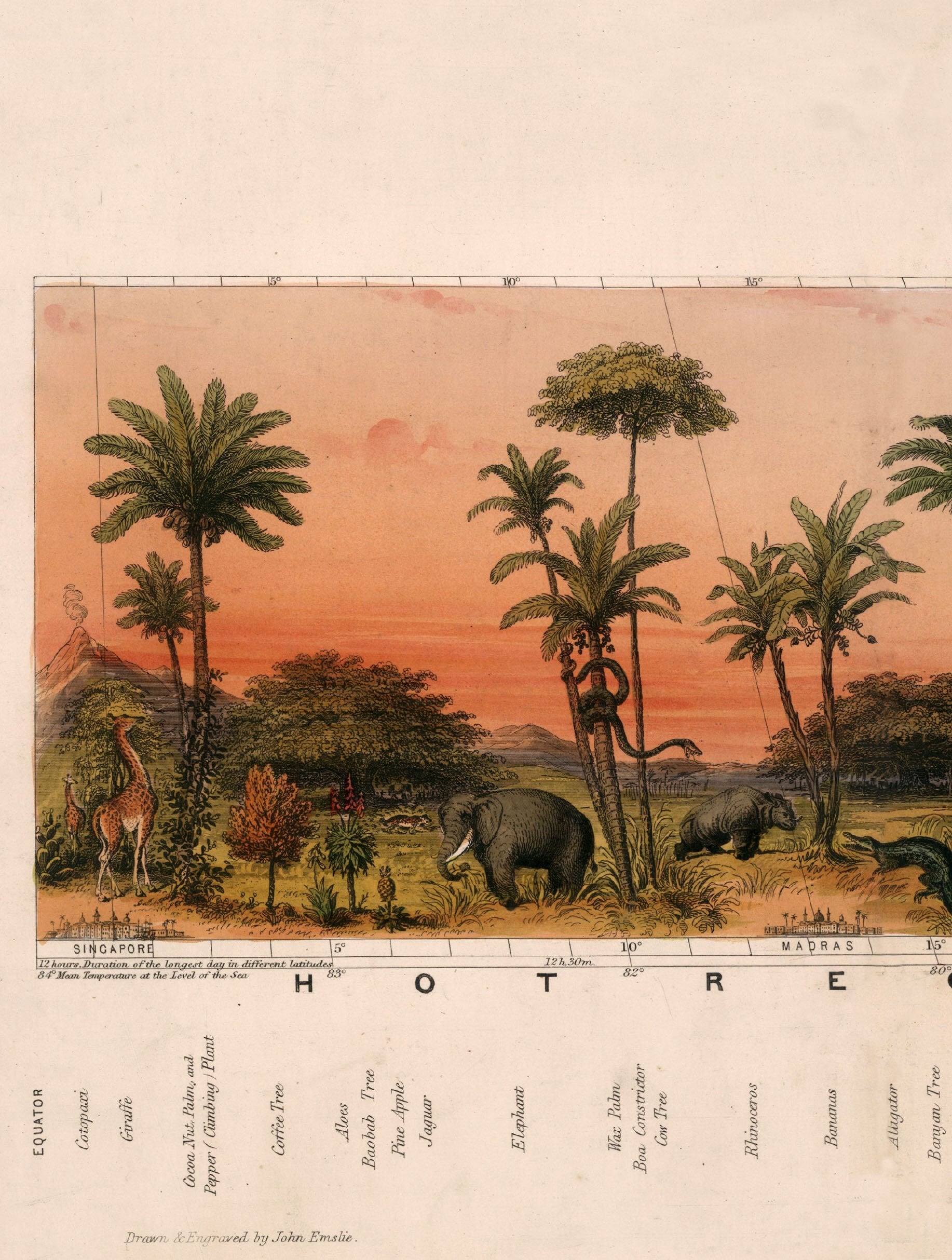 c 1852 view of nature in all climates from the equator to the arctic circle in size 140 x 32cm - glass-fronted framed wall art print with solid wood frame, ideal for contemporary home styling