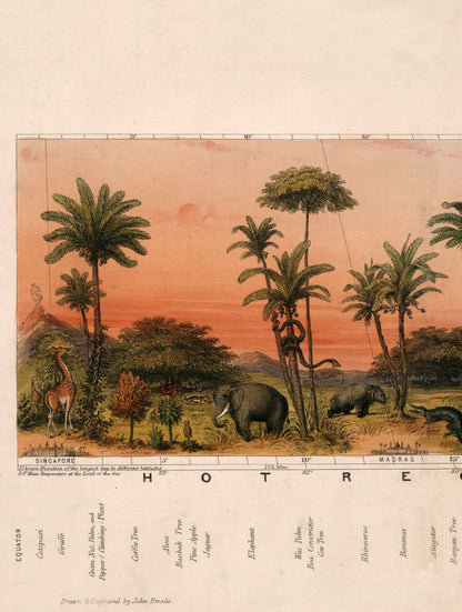 c 1852 view of nature in all climates from the equator to the arctic circle in size 140 x 32cm - glass-fronted framed wall art print with solid wood frame, ideal for contemporary home styling