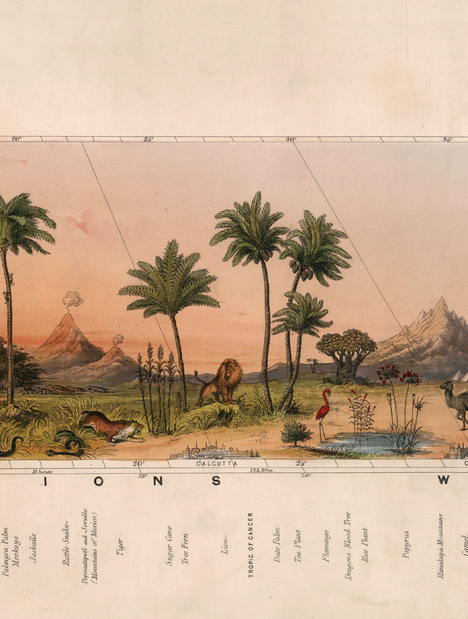 c 1852 view of nature in all climates from the equator to the arctic circle - premium glass-fronted framed art print with solid wood frame, adds elegance to your decor