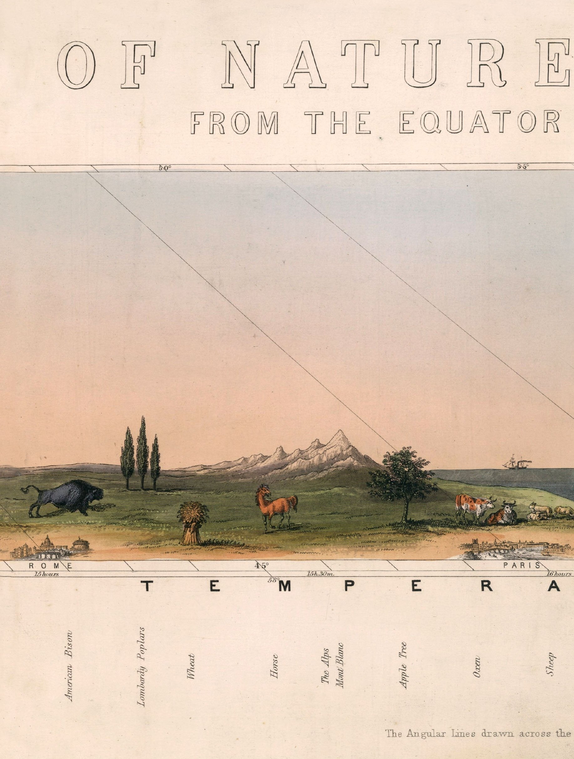 c 1852 view of nature in all climates from the equator to the arctic circle - premium glass-fronted framed art print with solid wood frame, perfect for statement wall decor
