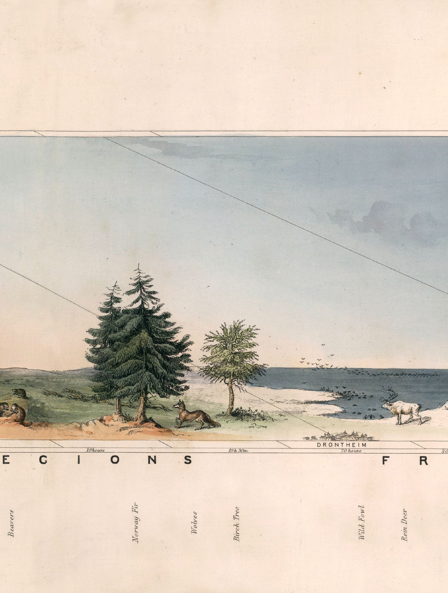 c 1852 view of nature in all climates from the equator to the arctic circle - premium glass-fronted framed art print with solid wood frame, ideal for modern interiors