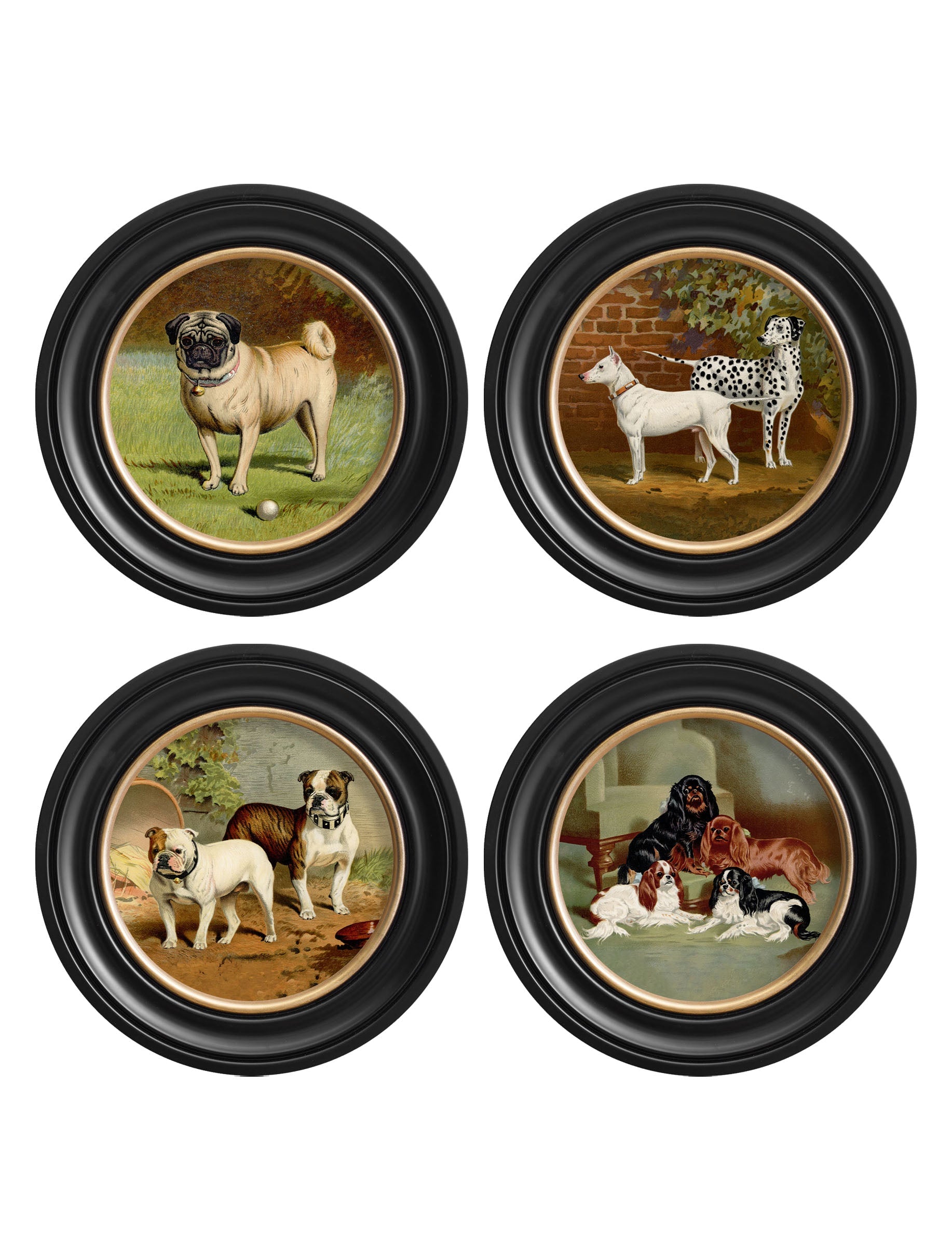 c 1881 dogs round frame - premium glass-fronted framed art print with solid wood frame, ideal for contemporary home styling