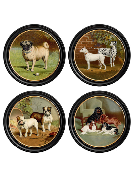 c.1881 Dogs - Round Frame in size 44 x 44cm - glass-fronted framed wall art print with solid wood frame, perfect for luxury home decor