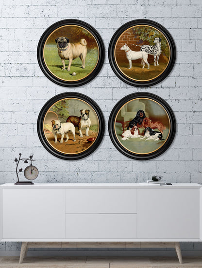 c 1881 dogs round frame in size 44 x 44cm - glass-fronted framed wall art print with solid wood frame, adds elegance to your decor