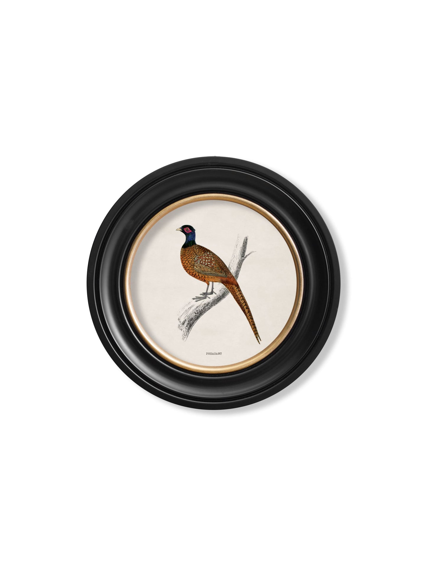 c 1809 pheasant round frame in size 70 x 70cm - glass-fronted framed wall art print with solid wood frame, adds elegance to your decor