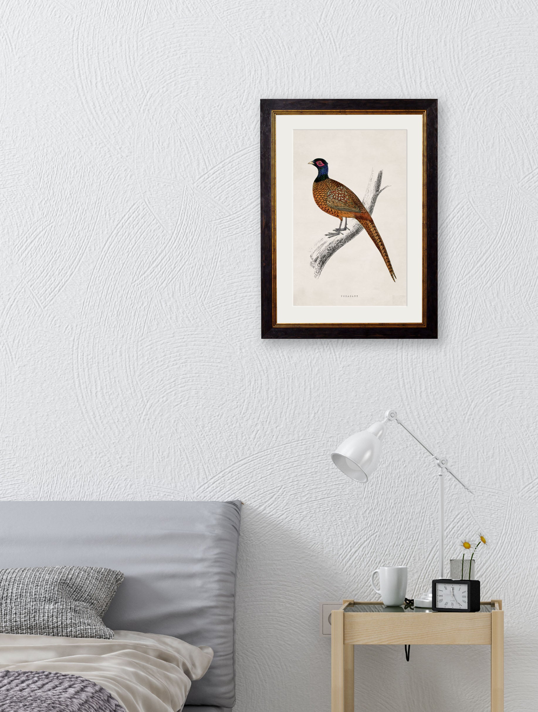c 1850s rev morris pheasant framed print in size 50 x 70cm - glass-fronted framed wall art print with solid wood frame, perfect for luxury home decor