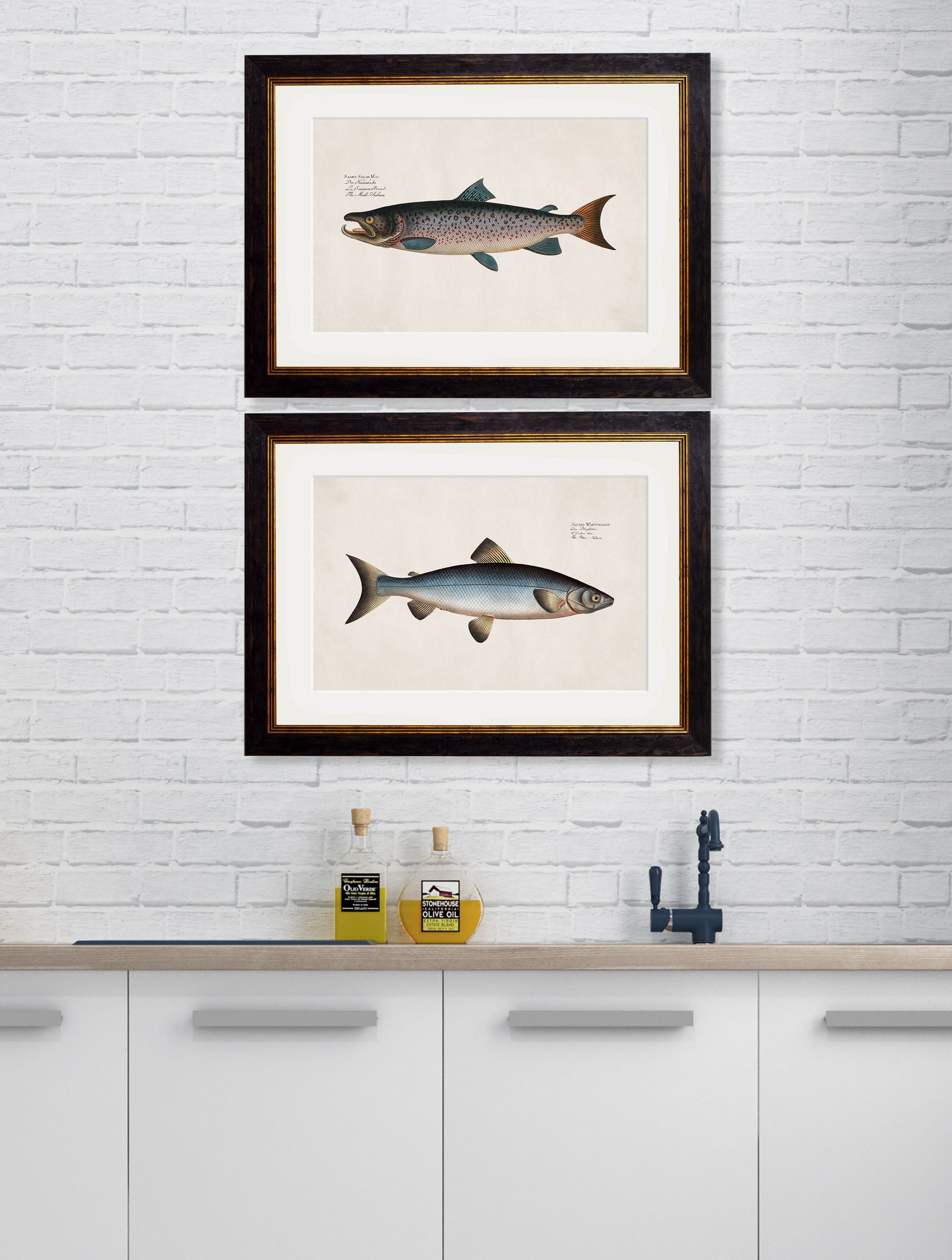 c 1785 blue salmon in size 38 x 50cm - glass-fronted framed wall art print with solid wood frame, a beautiful addition to stylish homes