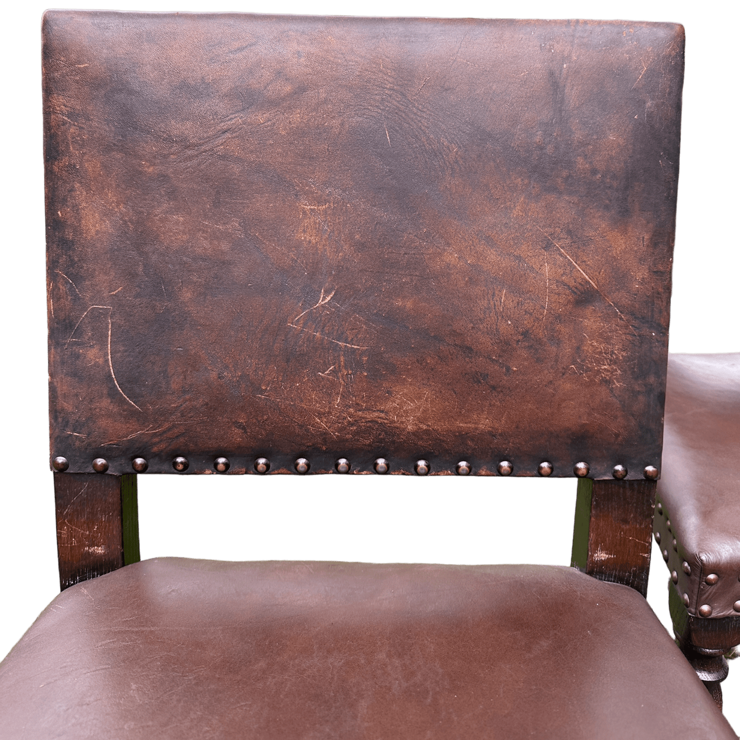 Set of 6 Jacobean Style Gothic Oak and Leather Dining ChairsThe Furniture Recycling Shop