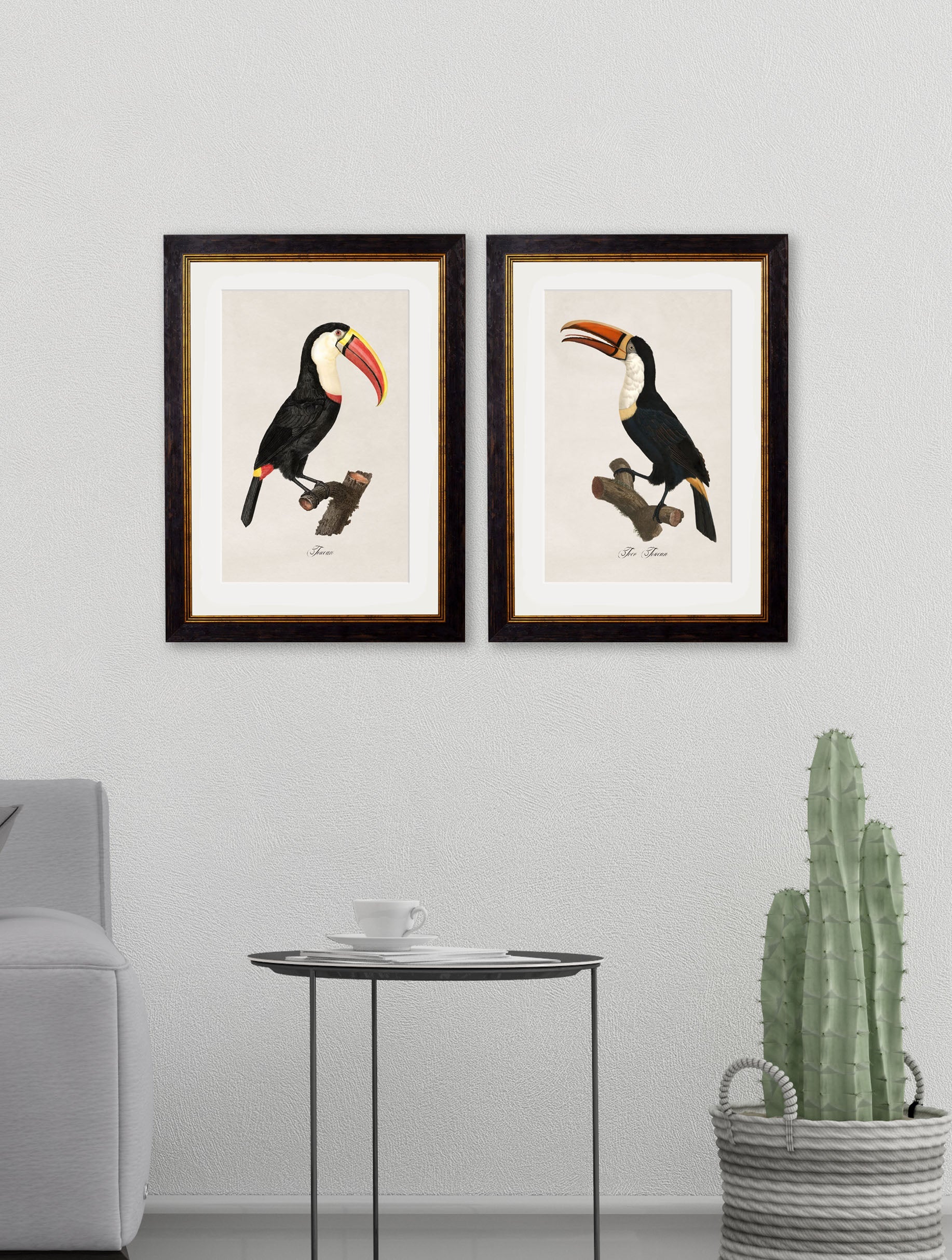 c 1809 toucan giclee print in size 38 x 50cm - glass-fronted framed wall art print with solid wood frame, ideal for modern interiors