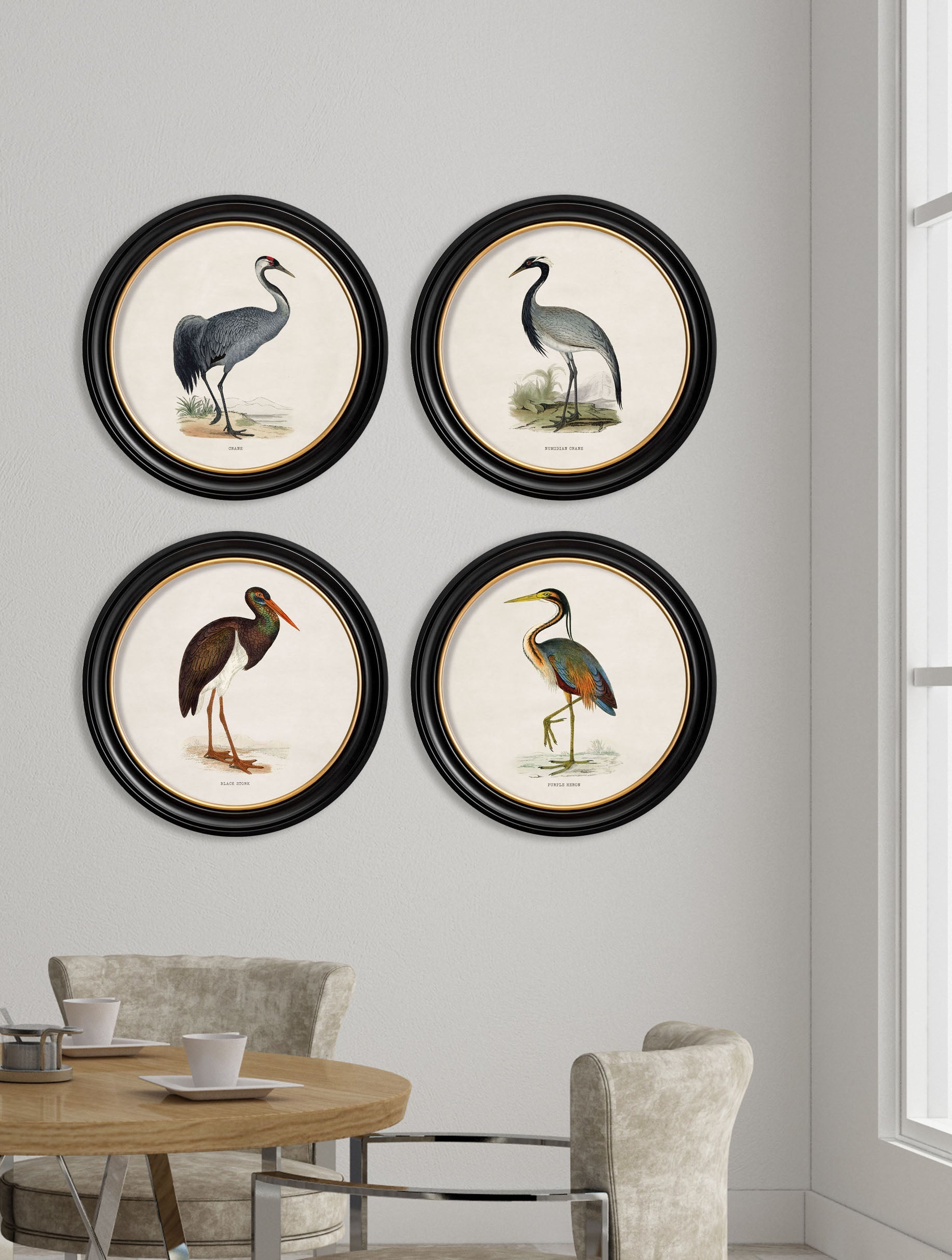 c 1870 wading birds in round frames in size 44 x 44cm - glass-fronted framed wall art print with solid wood frame, designed for high-end interior design