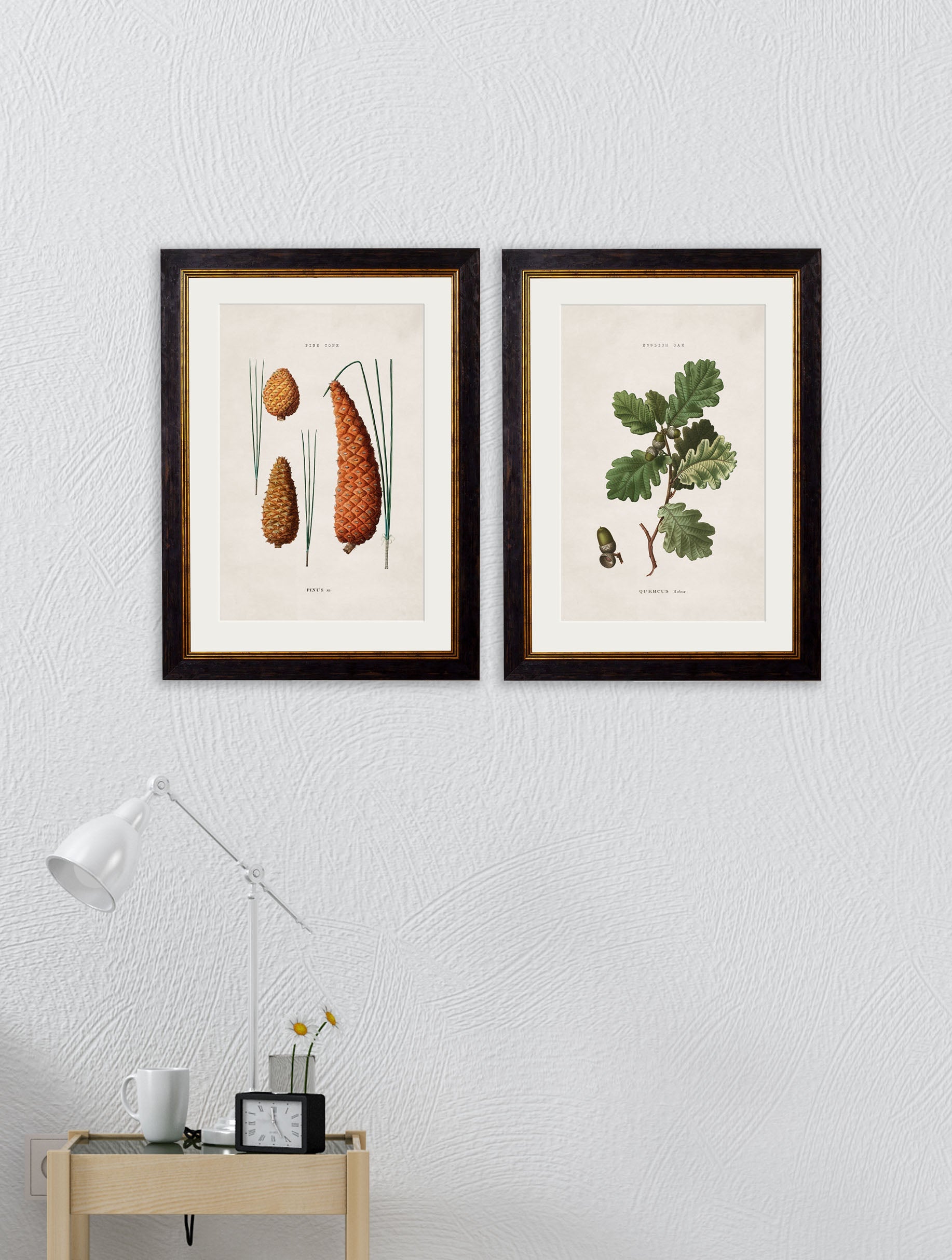 c 1819 oak leaf in size 38 x 50cm - glass-fronted framed wall art print with solid wood frame, adds elegance to your decor