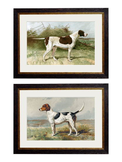 c.1881 Gun Dogs in size 38 x 50cm - glass-fronted framed wall art print with solid wood frame, designed for high-end interior design