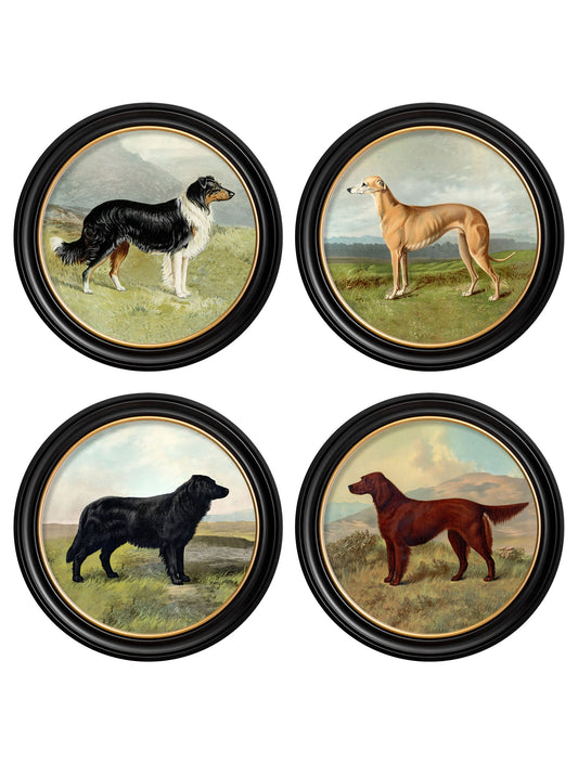 c.1881 Working Dogs - Round Frame in size 44 x 44cm - glass-fronted framed wall art print with solid wood frame, adds elegance to your decor