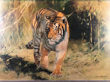 Load image into Gallery viewer, Vintage Retro Picture of A Tiger By Leonard Pearman. 70’s Print
