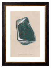 Load image into Gallery viewer, Bloodstone Gemstone Artwork Print. Framed Healing Crystal Wall Art PictureVintage Frog T/APictures &amp; Prints
