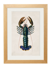 Load image into Gallery viewer, Framed Crimson Crawfish Print - Referenced from a French 1800s Hand-Coloured PrintVintage FrogPictures &amp; Prints

