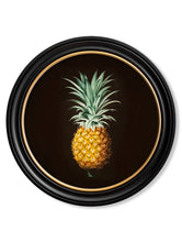 Load image into Gallery viewer, Framed Pineapple Study Print - Referenced from an 1800s Hand-Coloured PrintVintage FrogPictures &amp; Prints
