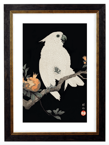 Japanese Cockatoo, Print of Vintage Illustrated Japanese Bird- 1900s Artwork Print. Framed Wall Art PictureVintage Frog T/APictures & Prints