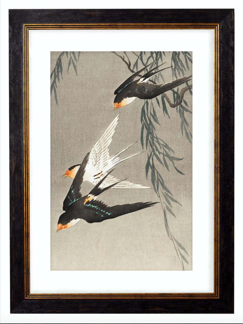 Japanese Flying Swallows, Print of Vintage Illustrated Japanese Birds- 1900s Artwork Print. Framed Wall Art PictureVintage Frog T/APictures & Prints