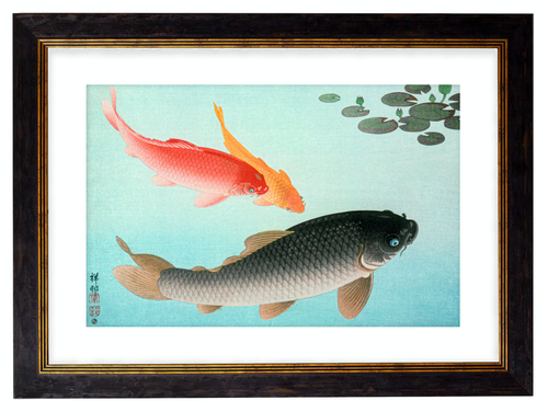 Japanese Koi Carp, Print of Vintage Illustrated Japanese Fish- 1900s Artwork Print. Framed Wall Art PictureVintage Frog T/APictures & Prints