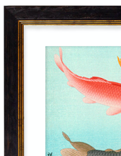Load image into Gallery viewer, Japanese Koi Carp, Print of Vintage Illustrated Japanese Fish- 1900s Artwork Print. Framed Wall Art PictureVintage Frog T/APictures &amp; Prints
