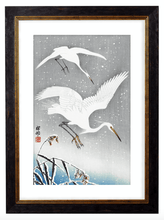 Load image into Gallery viewer, Japanese Pair of White Flying Cranes, Print of Vintage Illustrated Japanese Birds- 1900s Artwork Print. Framed Wall Art PictureVintage Frog T/APictures &amp; Prints
